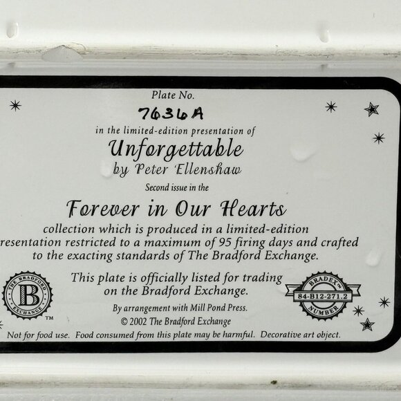 VTG Bradford‎ Exchange Plate Unforgettable Forever in our Hearts Twin Towers NYC - Picture 6 of 10